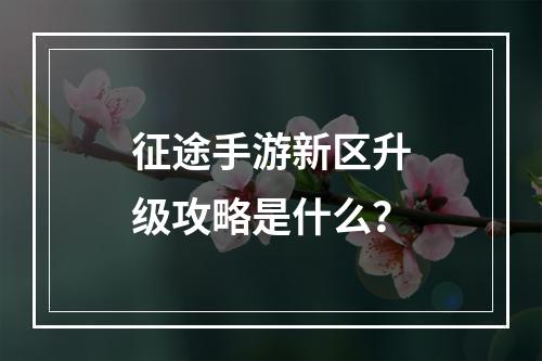 征途手游新区升级攻略是什么？