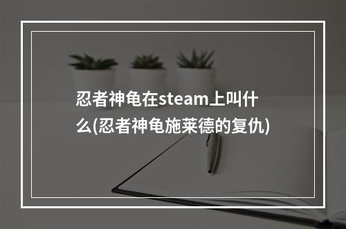 忍者神龟在steam上叫什么(忍者神龟施莱德的复仇)