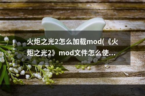 火炬之光2怎么加载mod(《火炬之光2》mod文件怎么使用 mod文件使用方法一览)