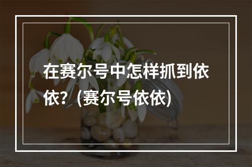 在赛尔号中怎样抓到依依？(赛尔号依依)