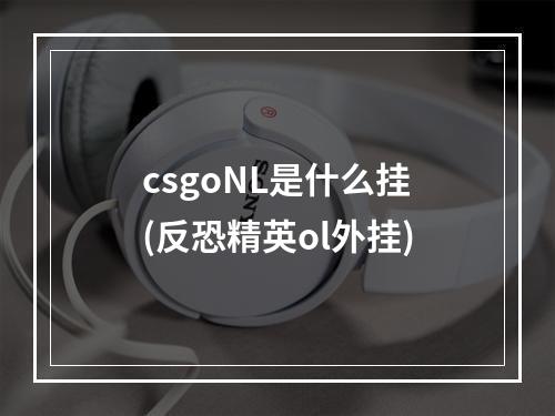 csgoNL是什么挂(反恐精英ol外挂)