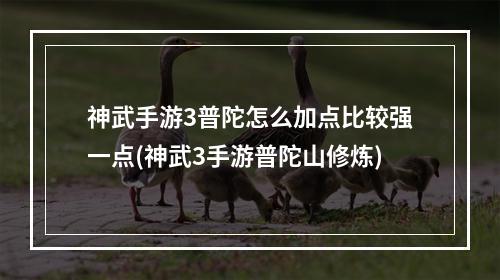 神武手游3普陀怎么加点比较强一点(神武3手游普陀山修炼)