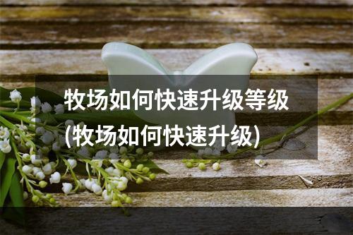 牧场如何快速升级等级(牧场如何快速升级)