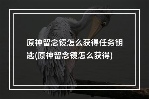 原神留念镜怎么获得任务钥匙(原神留念镜怎么获得)