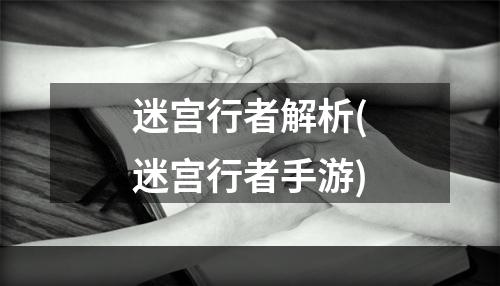 迷宫行者解析(迷宫行者手游)