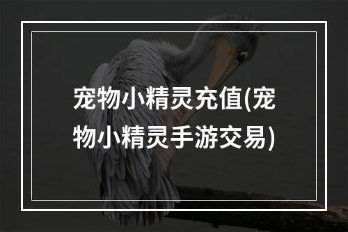 宠物小精灵充值(宠物小精灵手游交易)