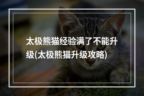 太极熊猫经验满了不能升级(太极熊猫升级攻略)