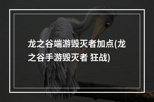 龙之谷端游毁灭者加点(龙之谷手游毁灭者 狂战)