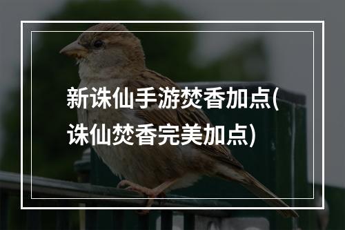 新诛仙手游焚香加点(诛仙焚香完美加点)