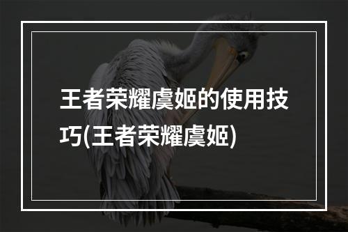 王者荣耀虞姬的使用技巧(王者荣耀虞姬)