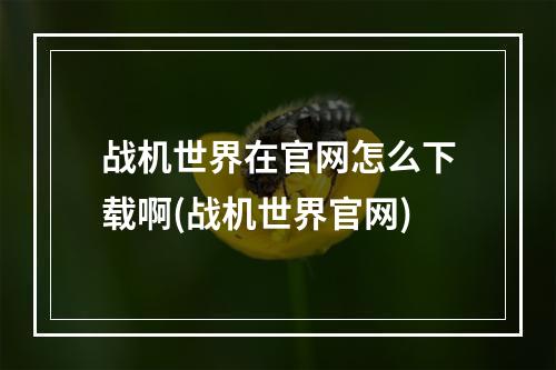 战机世界在官网怎么下载啊(战机世界官网)