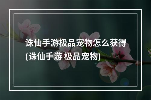 诛仙手游极品宠物怎么获得(诛仙手游 极品宠物)