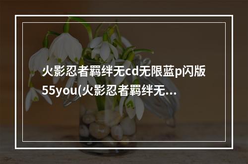 火影忍者羁绊无cd无限蓝p闪版55you(火影忍者羁绊无)