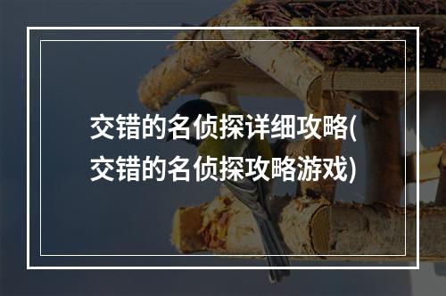 交错的名侦探详细攻略(交错的名侦探攻略游戏)