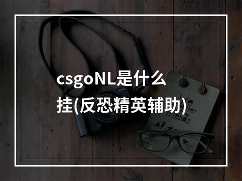 csgoNL是什么挂(反恐精英辅助)