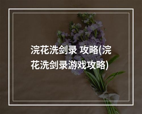 浣花洗剑录 攻略(浣花洗剑录游戏攻略)