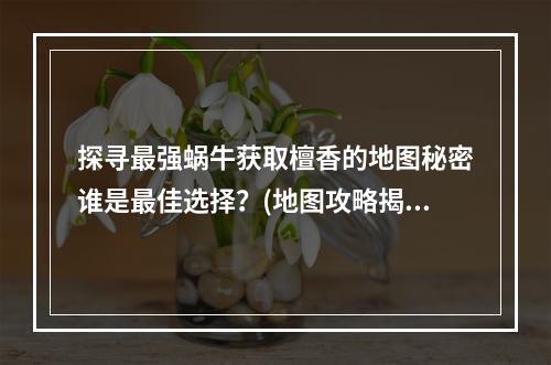 探寻最强蜗牛获取檀香的地图秘密谁是最佳选择？(地图攻略揭晓)