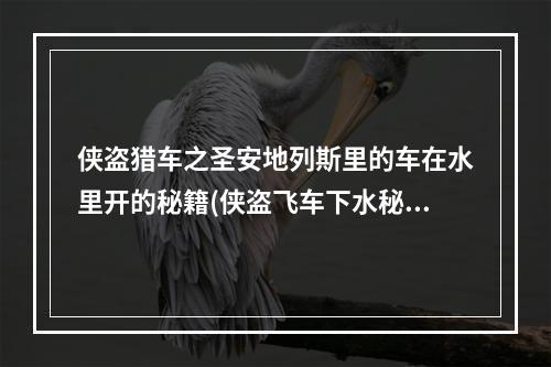 侠盗猎车之圣安地列斯里的车在水里开的秘籍(侠盗飞车下水秘籍)