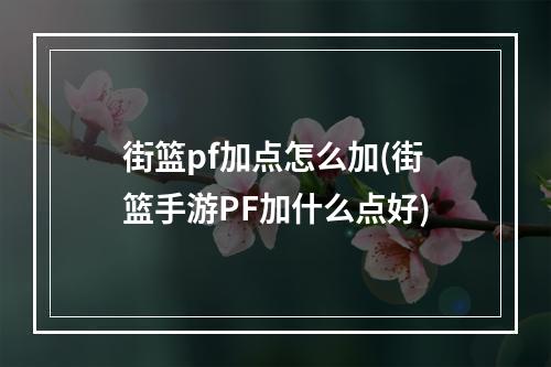 街篮pf加点怎么加(街篮手游PF加什么点好)