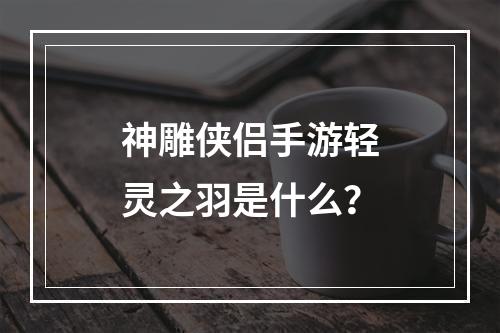 神雕侠侣手游轻灵之羽是什么？