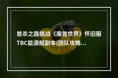 首杀之路挑战《魔兽世界》怀旧服TBC能源舰副本(团队攻略)