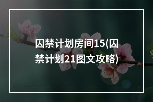 囚禁计划房间15(囚禁计划21图文攻略)