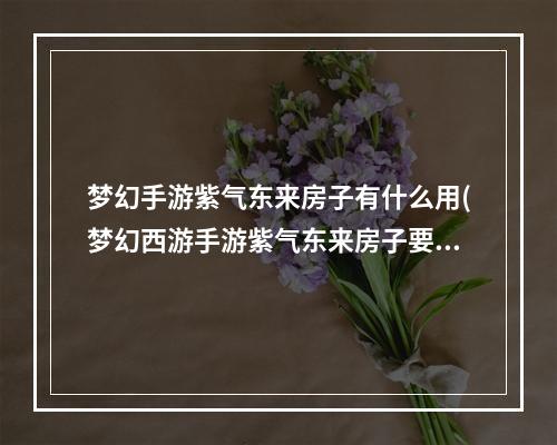 梦幻手游紫气东来房子有什么用(梦幻西游手游紫气东来房子要多少钱豪宅布置装修)