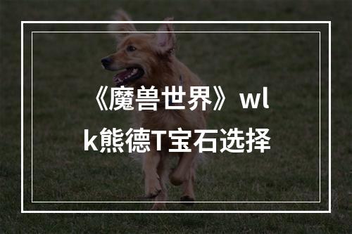 《魔兽世界》wlk熊德T宝石选择