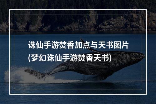 诛仙手游焚香加点与天书图片(梦幻诛仙手游焚香天书)