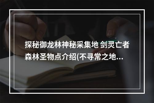 探秘御龙林神秘采集地 剑灵亡者森林圣物点介绍(不寻常之地)、2(奇异瑰宝的藏身之所)((奇异瑰宝的藏身之所))