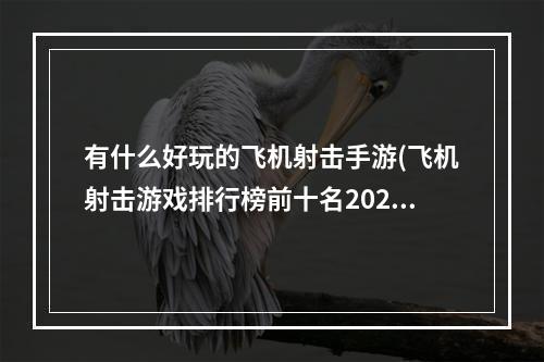 有什么好玩的飞机射击手游(飞机射击游戏排行榜前十名2021 好玩的飞机射击手游有)