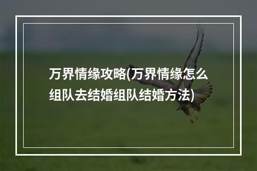 万界情缘攻略(万界情缘怎么组队去结婚组队结婚方法)