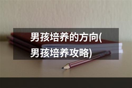 男孩培养的方向(男孩培养攻略)