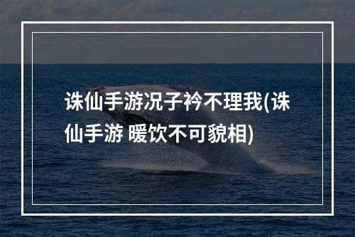 诛仙手游况子衿不理我(诛仙手游 暖饮不可貌相)