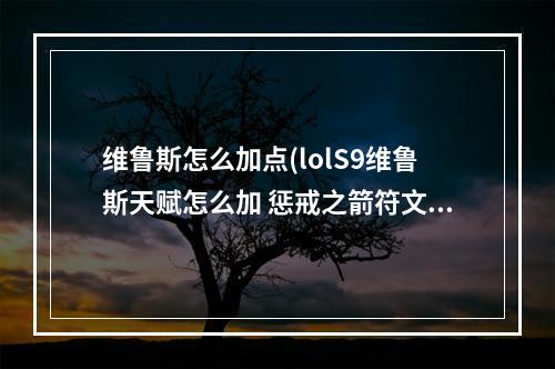 维鲁斯怎么加点(lolS9维鲁斯天赋怎么加 惩戒之箭符文搭配推荐)