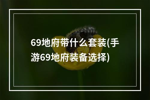 69地府带什么套装(手游69地府装备选择)