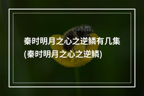 秦时明月之心之逆鳞有几集(秦时明月之心之逆鳞)