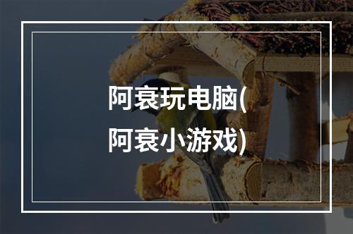 阿衰玩电脑(阿衰小游戏)