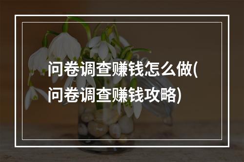 问卷调查赚钱怎么做(问卷调查赚钱攻略)