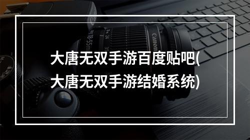 大唐无双手游百度贴吧(大唐无双手游结婚系统)