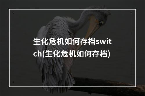 生化危机如何存档switch(生化危机如何存档)