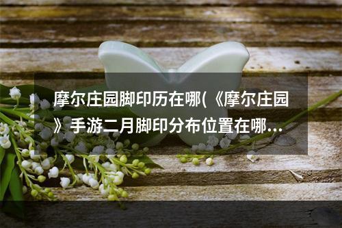 摩尔庄园脚印历在哪(《摩尔庄园》手游二月脚印分布位置在哪里 二月脚印分布)