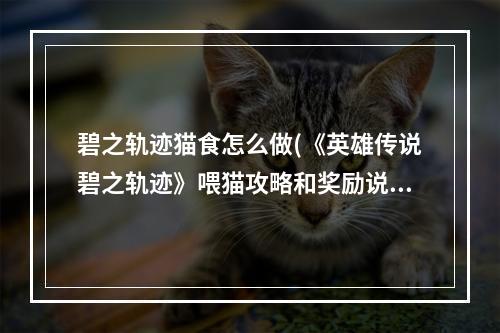 碧之轨迹猫食怎么做(《英雄传说碧之轨迹》喂猫攻略和奖励说明)