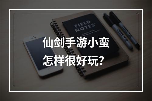 仙剑手游小蛮怎样很好玩？