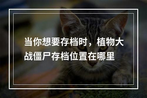 当你想要存档时，植物大战僵尸存档位置在哪里