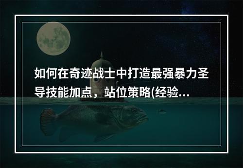 如何在奇迹战士中打造最强暴力圣导技能加点，站位策略(经验分享)