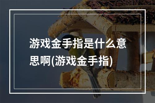 游戏金手指是什么意思啊(游戏金手指)