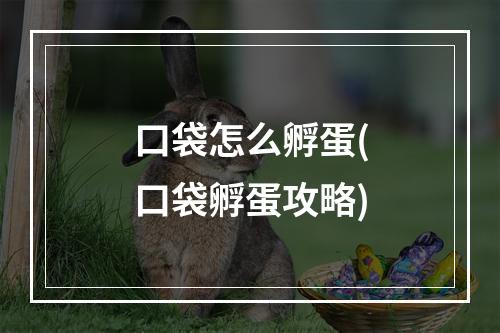 口袋怎么孵蛋(口袋孵蛋攻略)