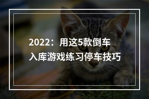 2022：用这5款倒车入库游戏练习停车技巧