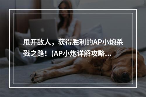 甩开敌人，获得胜利的AP小炮杀戮之路！(AP小炮详解攻略)